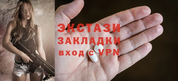 хмурый Аркадак