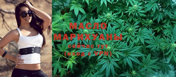 хмурый Аркадак