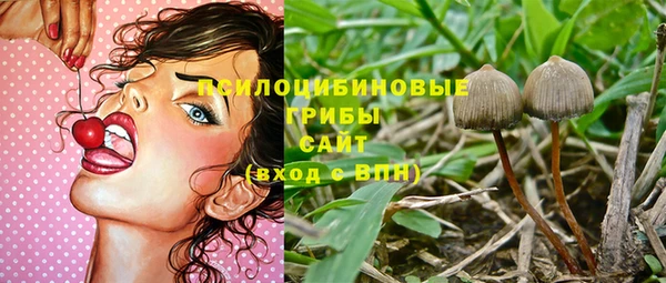 PSILOCYBIN Усинск