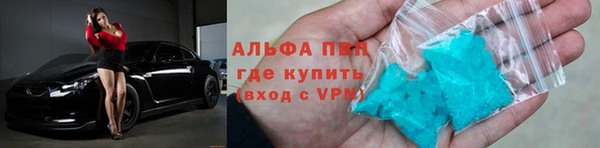 хмурый Аркадак