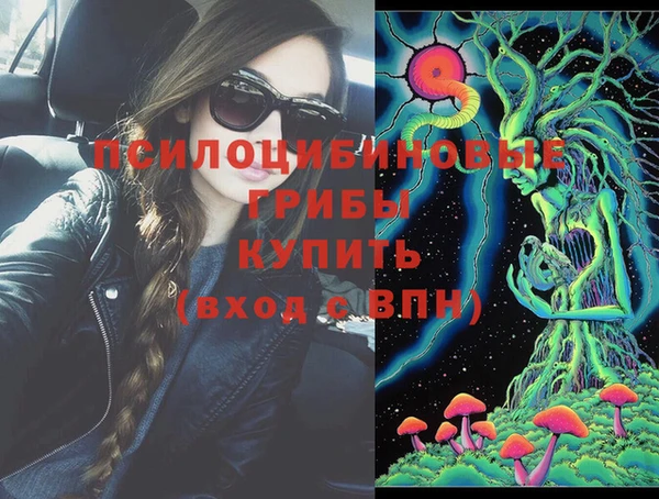 хмурый Аркадак