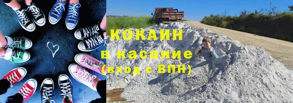 хмурый Аркадак
