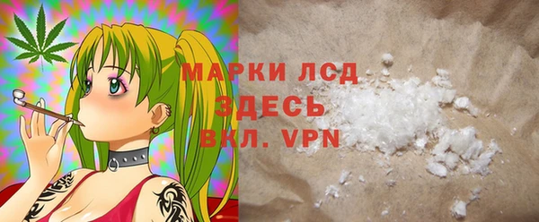 хмурый Аркадак