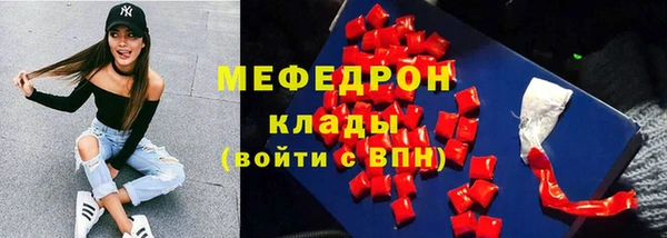 хмурый Аркадак