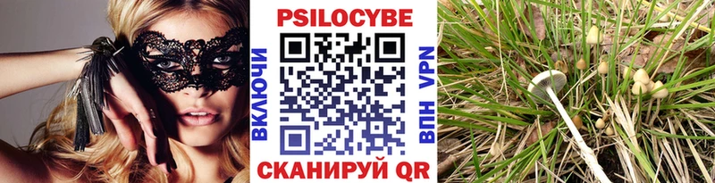 где найти наркотики  Родники  Псилоцибиновые грибы мицелий 